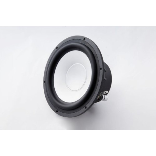 AUDIBLE PHYSICS    RAM 6A