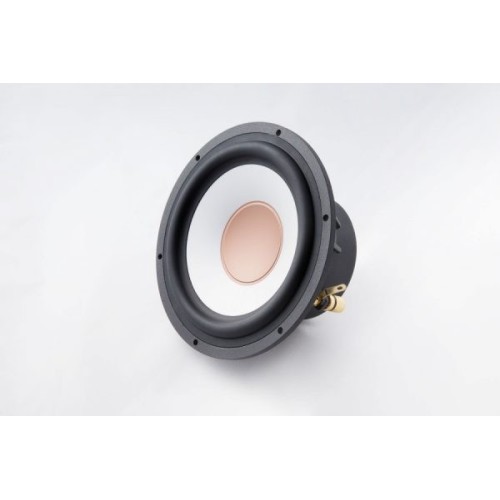 AUDIBLE PHYSICS RAM 6B AUDIBLE PHYSICS RAM 6B