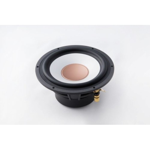 AUDIBLE PHYSICS RAM 6B