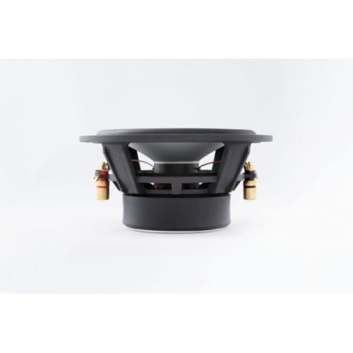 AUDIBLE PHYSICS RAM 6B