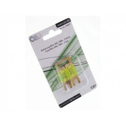 AIV MINI-ANL – 100 A