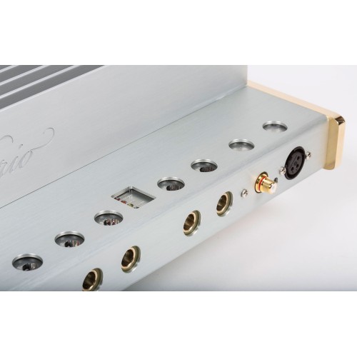 QUARTORIGO DESIDERIO – 2-JŲ KANALŲ GARSO STPRINTUVAS