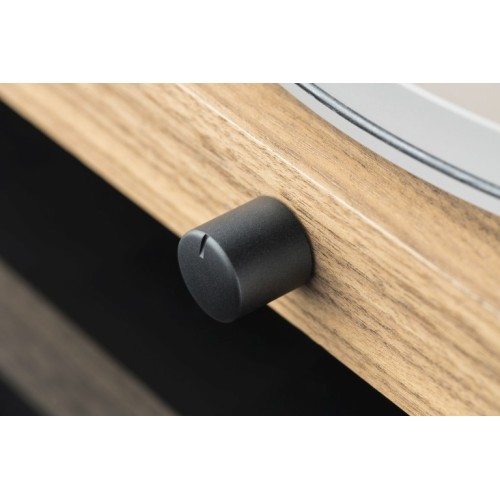 PROJECT JUKE BOX S2 STEREO SET EUCALYPTUS