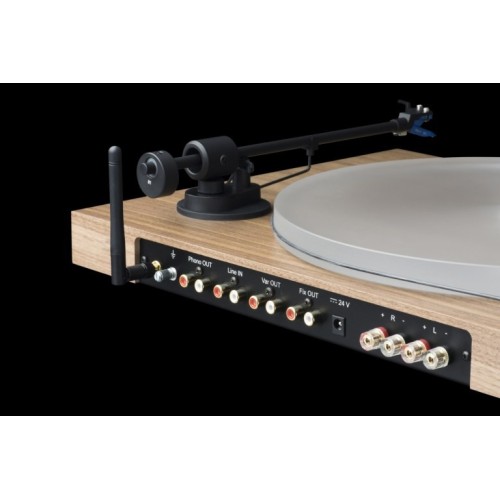 PROJECT JUKE BOX S2 EUCALYPTUS