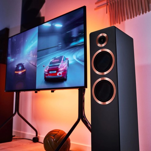 ARGON AUDIO FORTE MKII A55 BLACK EXPO