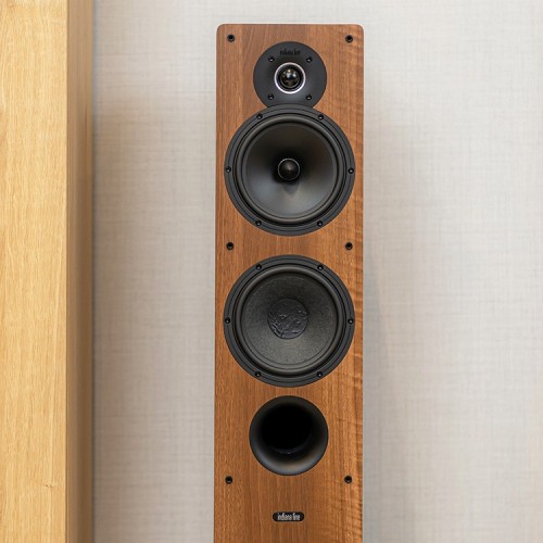 INDIANA TESI 561 WALNUT EXPO