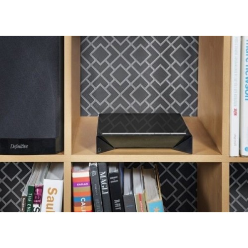 DEFINITIVE TECHNOLOGY W-AMP