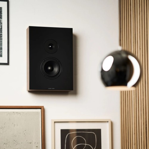 ARGON AUDIO FORUS 4  WALL WALNUT