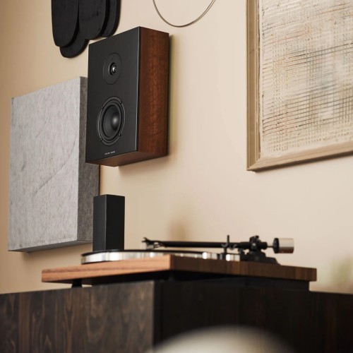 ARGON AUDIO FORUS 4  WALL WALNUT