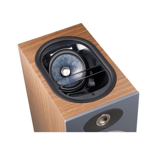 FOCAL THEVA NO 3-D
