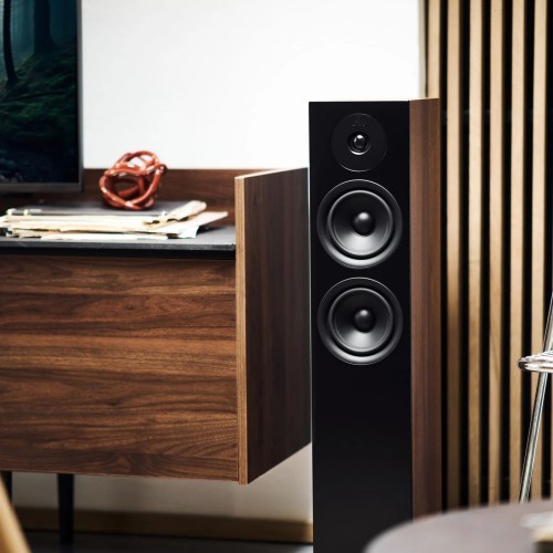 ARGON AUDIO FORUS 55 WALNUT