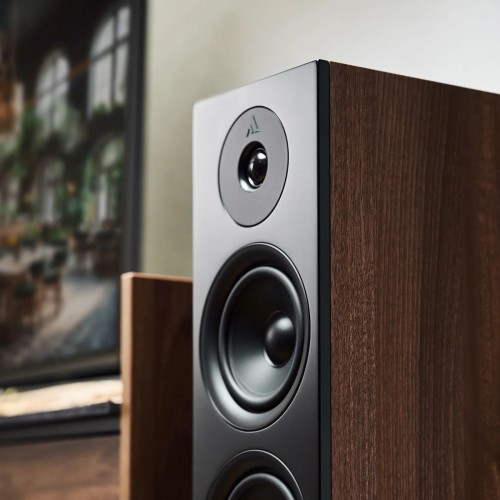 ARGON AUDIO FORUS 55 WALNUT