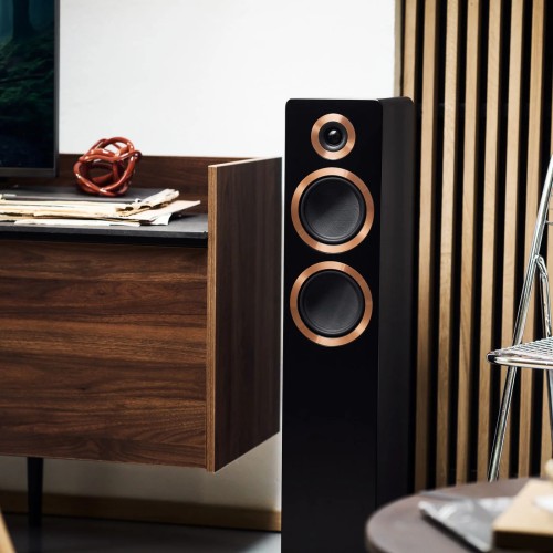 ARGON AUDIO FORTE MKII A55 WALNUT EXPO