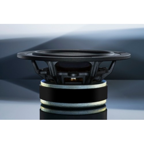 PRO-JECT SPEAKER BOX 15 DS2 WALNUT