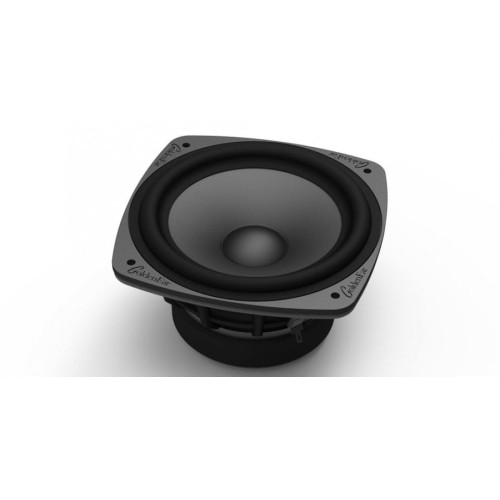 GOLDENEAR TRITON SEVEN EXPO