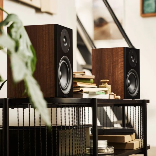 ARGON AUDIO FORUS 5 WALNUT