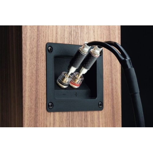 PRO JECT  BOX 5 S2 EUCALYPTUS