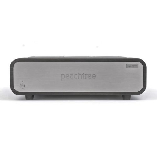 PEACHTREE  AUDIO GAN400 ASH
