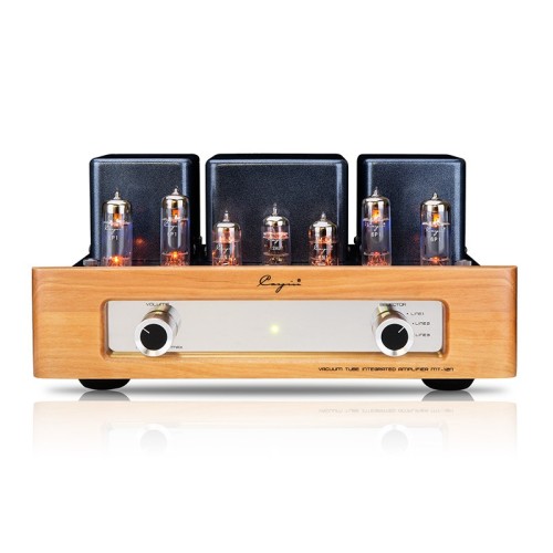 CAYIN MT12N CAYIN MT12N