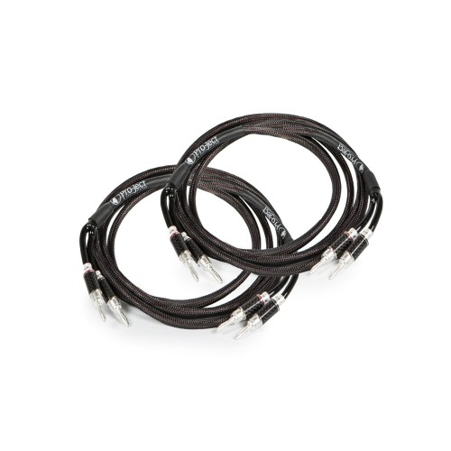 PRO JECT CONNECT IT LS DS2