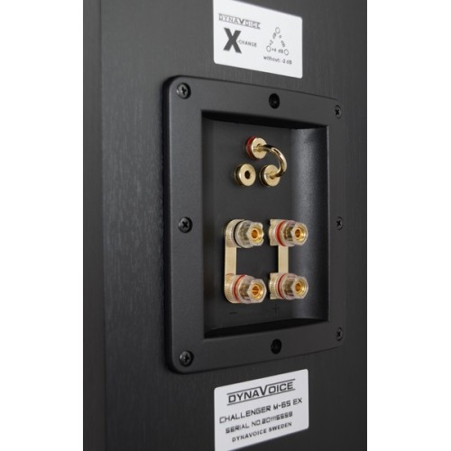 DYNAVOICE CHALLENGER M-65 EX V.4, GRINDINĖS GARSO KOLONĖLĖS, GALIA: 500W 