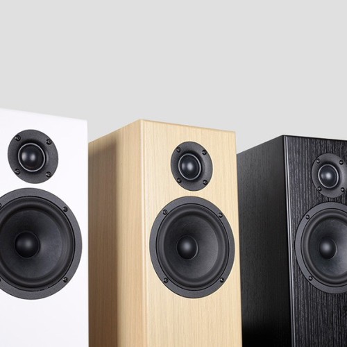 TOTEM ACOUSTIC BISON TWIN TOWER, GRINDINĖS GARSO KOLONĖLĖS, REKOMEND. STIPRINTUVO GALIA: 30 - 200 W, JAUTRUMAS: 90 DB, VARŽA: 4 Ω 