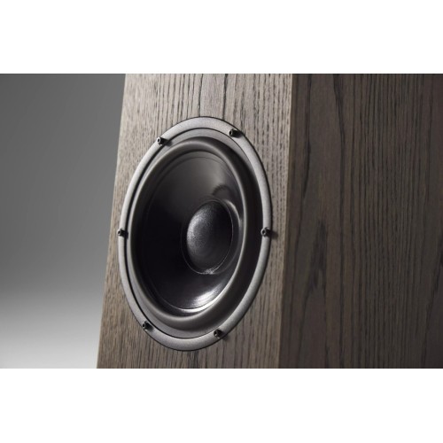 Ø AUDIO FRIGG 02, 3 - JŲ JUOSTŲ GRINDINĖS GARSO KOLONĖLĖS VARŽA: 8Ω JAUTRUMAS: 90DB 