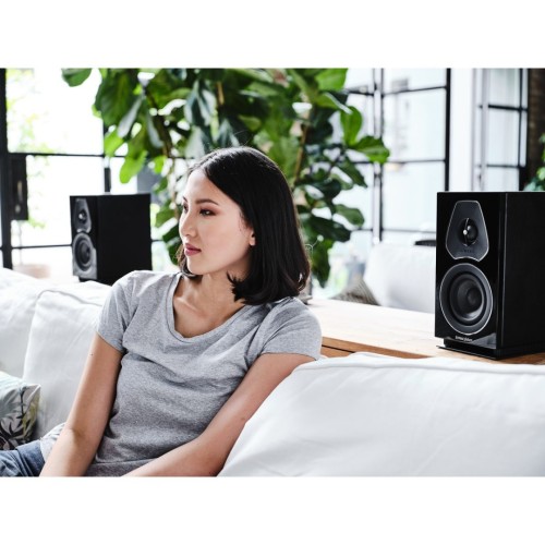 SONUS FABER LUMINA I, LENTYNINĖ GARSO KOLONĖLĖ REKOMENDUOJAMA STIPRINTUVO GALIA: 30W – 100W, JAUTRUMAS 84DB SPL (2.83V/1M), DAŽNIŲ ATKŪRIMO DIAPAZONAS: 65 HZ – 24 KHZ 