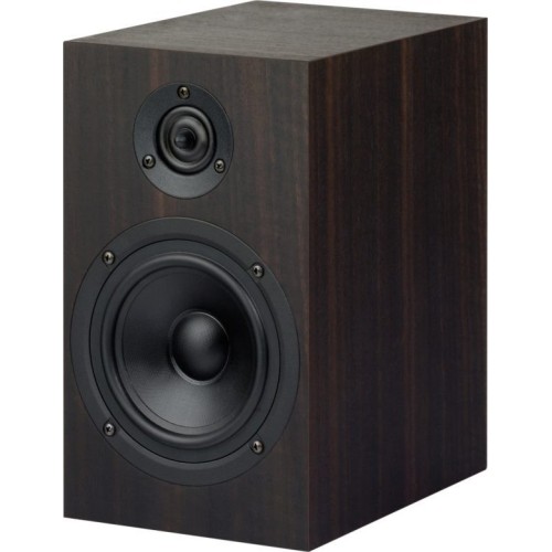 PRO-JECT SPEAKER BOX 5 DS2 2-JŲ JUOSTŲ MONITORINĖS KOLONĖLĖS JAUTRUMAS (1W/1M) 89 DB, REKOMEND. STIPRINTUVO GALIA 10- 150W,  DAŽNIŲ JUOSTA 53 HZ - 20 KHZ 