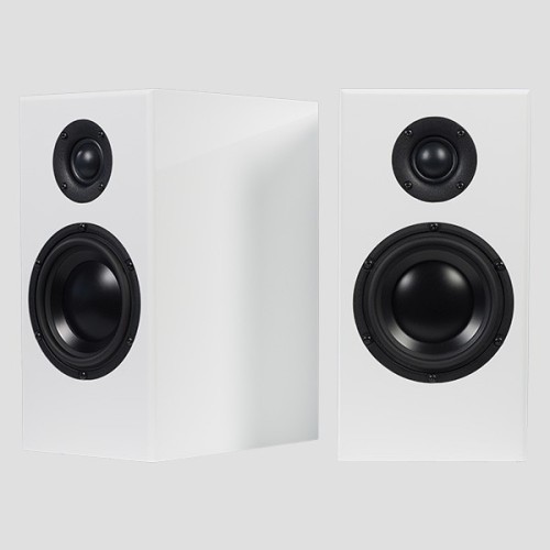 TOTEM ACOUSTIC BISON MONITOR, LENTYNINĖS GARSO KOLONĖLĖS, REKOMEND. STIPRINTUVO GALIA: 30 - 150 W, JAUTRUMAS: 87 DB, VARŽA: 8 Ω 