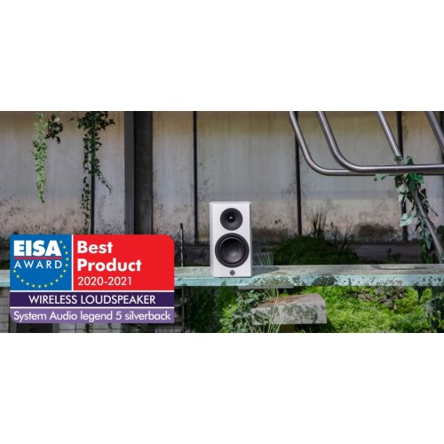 SYSTEM AUDIO SA LEGEND 5 SILVERBACK 2-JŲ JUOSTŲ BELAIDĖ GARSO KOLONĖLĖ GALIA 2 X 150W, DAŽNIŲ JUOSTA: +/- 1.5 DB: 40-25.000 HZ, BALANSINIS XLR ĮĖJIMAS 