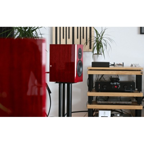 DYNAUDIO SPECIAL FORTY LENTYNINĖS GARSO KOLONĖLĖS 2X200W KAINA UŽ 2 VNT. HIEND KOLONĖLĖS 