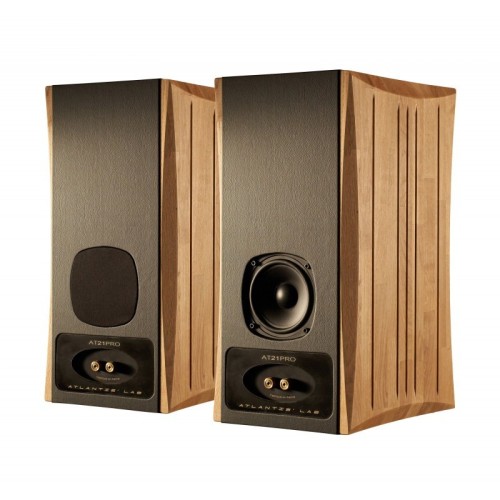 ATLANTIS LAB AT21 – AUKŠTOS KOKYBĖS DVIEJŲ JUOSTŲ LENTYNINĖ KOLONĖLĖ. JAUTRUMAS: ~96 DB @ 1 M / 1 W. NOMINALI GALIA: 250 W RMS, PIKO GALIA ~500 W. KAINA UŽ 2VNT. 