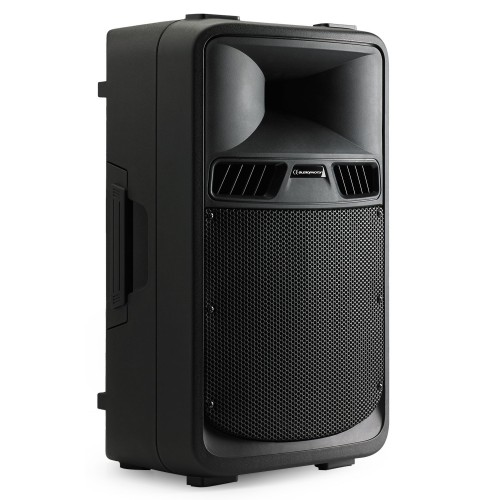 AUDIOPHONY SR10A 2-JŲ JUOSTŲ KOLONĖLĖ BASS RELFEX D KLASĖS  IR AB STIPRINTUVAS GALIA 300W RMS 