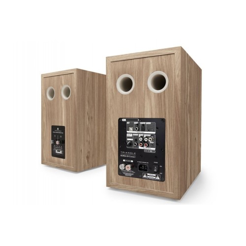 TRIANGLE BOREA BR03 CONNECT – AKTYVIOS AUKŠTOS KLASĖS GARSO KOLONĖLĖS SU BLUETOOTH IR PLAČIOMIS JUNGTIMIS. DAŽNIŲ ATSAKAS: 47 HZ – 22 KHZ. 