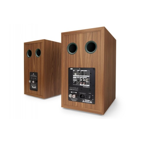 TRIANGLE BOREA BR03 CONNECT – AKTYVIOS AUKŠTOS KLASĖS GARSO KOLONĖLĖS SU BLUETOOTH IR PLAČIOMIS JUNGTIMIS. DAŽNIŲ ATSAKAS: 47 HZ – 22 KHZ. 