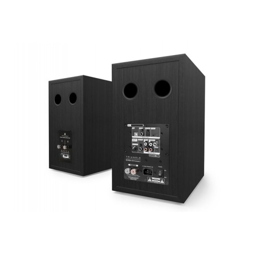 TRIANGLE BOREA BR03 CONNECT – AKTYVIOS AUKŠTOS KLASĖS GARSO KOLONĖLĖS SU BLUETOOTH IR PLAČIOMIS JUNGTIMIS. DAŽNIŲ ATSAKAS: 47 HZ – 22 KHZ. 
