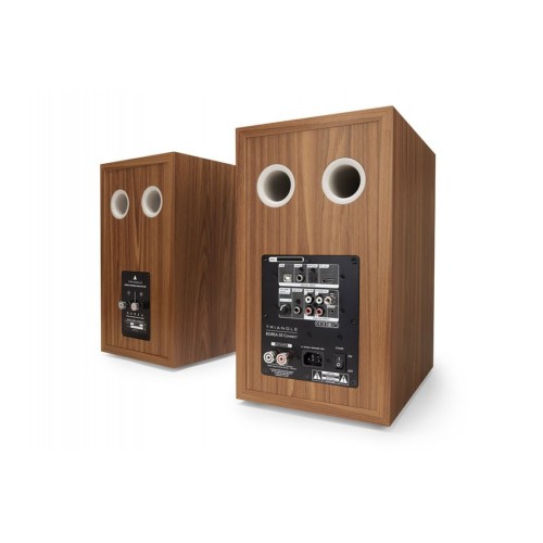 TRIANGLE BOREA BR03 CONNECT – AKTYVIOS AUKŠTOS KLASĖS GARSO KOLONĖLĖS SU BLUETOOTH IR PLAČIOMIS JUNGTIMIS. DAŽNIŲ ATSAKAS: 47 HZ – 22 KHZ. 