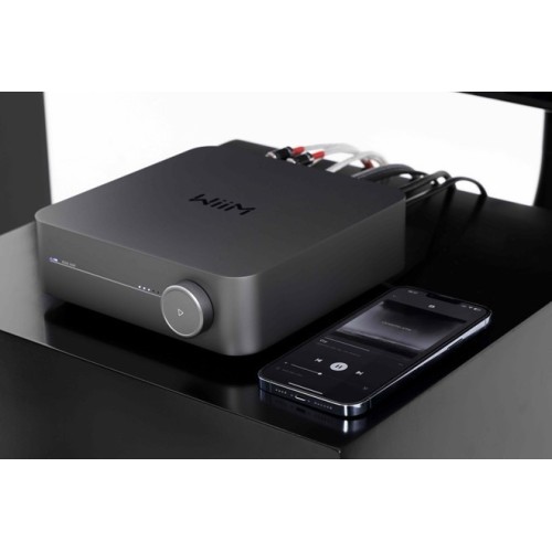 STEREO HI-FI KOMPLEKTAS, WIIM AMP + DYNAUDIO EMIT 10 LENTYNINĖS GARSO KOLONĖLĖS 