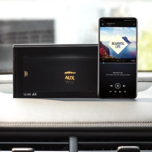 AMPIRE BTR100X, BLUETOOTH IMTUVAS- RESYVERIS 