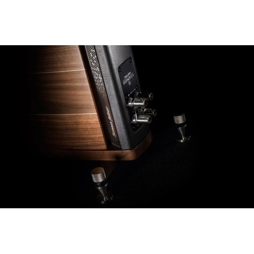 SONUS FABER OLYMPICA II, GRINDINĖS GARSO KOLONĖLĖS (ĮVAIRIŲ SPALVŲ)