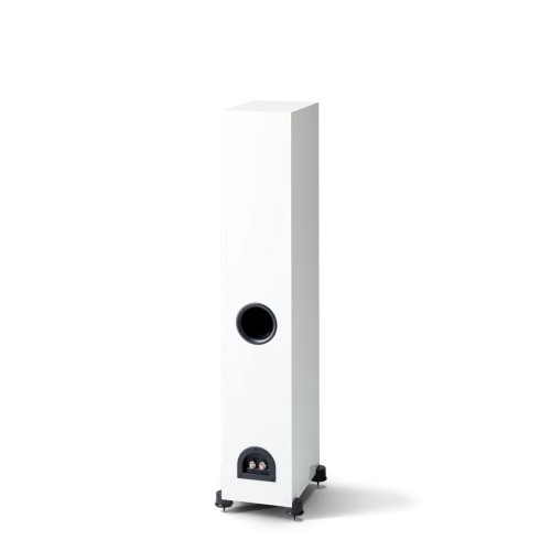PARADIGM MONITOR SE 3000F, GRINDINĖ GARSO KOLONĖLĖ (ĮVAIRIŲ SPALVŲ) PARADIGM MONITOR SE 3000F, GRINDINĖ GARSO KOLONĖLĖ (ĮVAIRIŲ SPALVŲ)