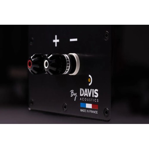 DAVIS ACOUSTICS THE STAGE, GRINDINĖS GARSO KOLONĖLĖS