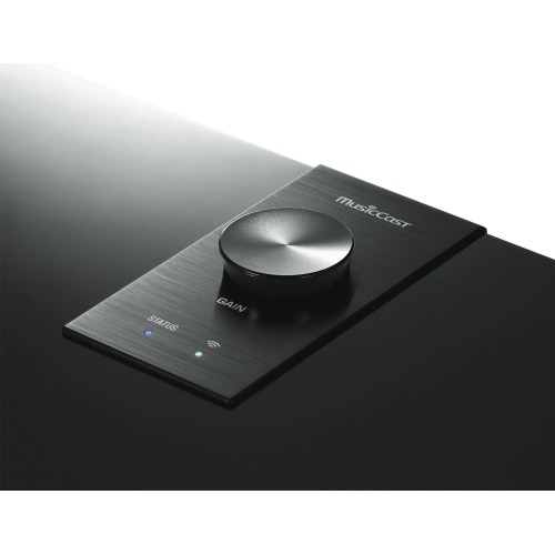 BEVIELĖ ŽEMŲ DAŽNIŲ KOLONĖLĖ YAMAHA MUSICCAST SUB 100, 130W BEVIELĖ ŽEMŲ DAŽNIŲ KOLONĖLĖ YAMAHA MUSICCAST SUB 100, 130W
