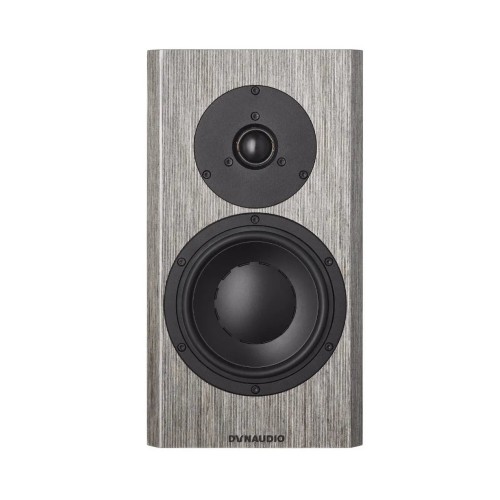 LENTYNINĖS GARSO KOLONĖLĖS DYNAUDIO SPECIAL FORTY, 200W, 2-JŲ JUOSTŲ