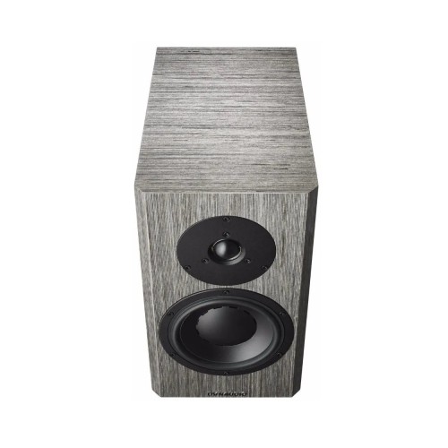 LENTYNINĖS GARSO KOLONĖLĖS DYNAUDIO SPECIAL FORTY, 200W, 2-JŲ JUOSTŲ