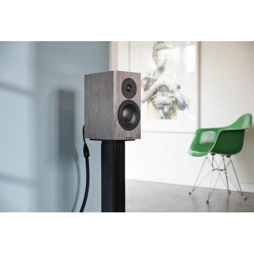 LENTYNINĖS GARSO KOLONĖLĖS DYNAUDIO SPECIAL FORTY, 200W, 2-JŲ JUOSTŲ