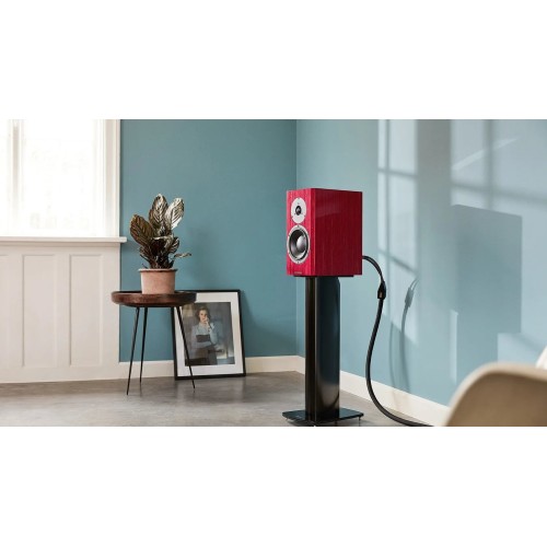 LENTYNINĖS GARSO KOLONĖLĖS DYNAUDIO SPECIAL FORTY, 200W, 2-JŲ JUOSTŲ