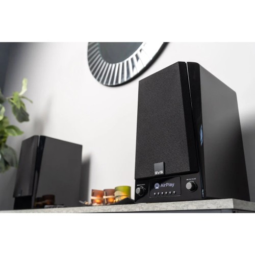SVS PRIME WIRELESS PRO, AKTYVIOS KOLONĖLĖS