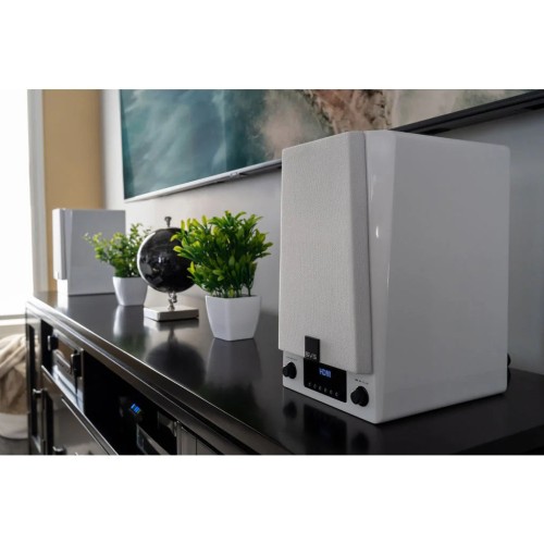 SVS PRIME WIRELESS PRO, AKTYVIOS KOLONĖLĖS
